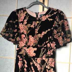 Spring Velvet Modcloth Dress